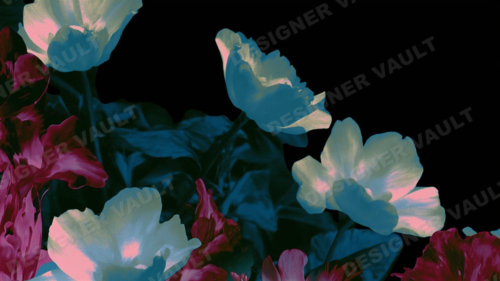 Nightbloom 4K background, Dark painterly peonies, design 6 of 6