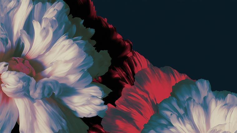 Nightbloom